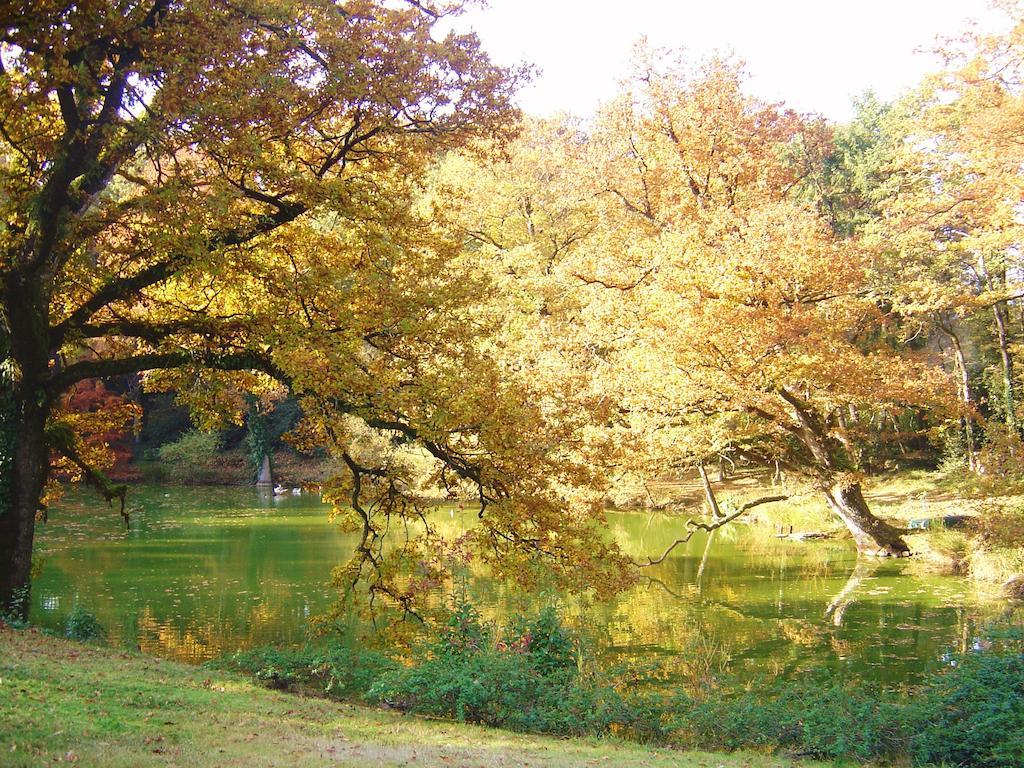 Chateau Du Bois Glaume Poligné Habitación foto